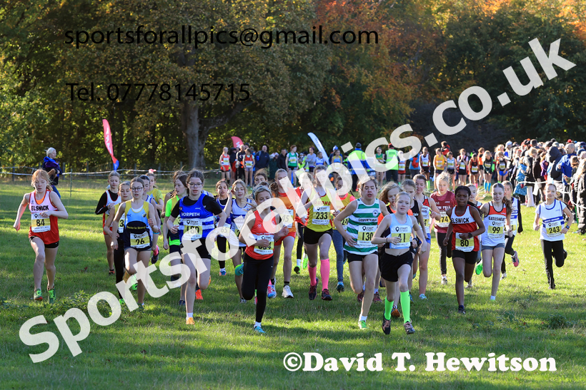 Girls Under-13s, 2025 Start Fitness NEHL, Lambton, County Durham. Photo: David T. Hewitson/Sports for All Pics